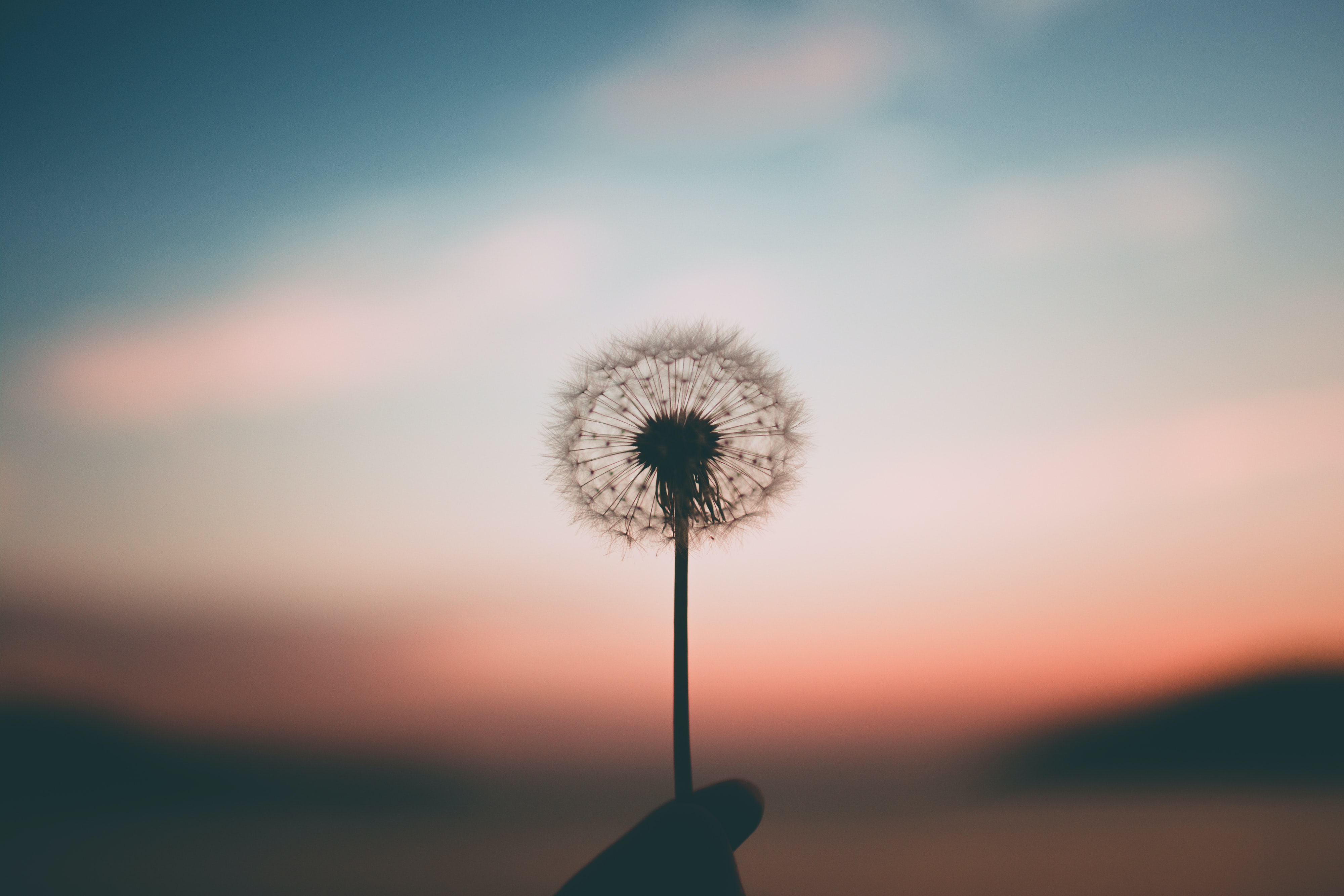 Holding space — being fully present for another person's experience
